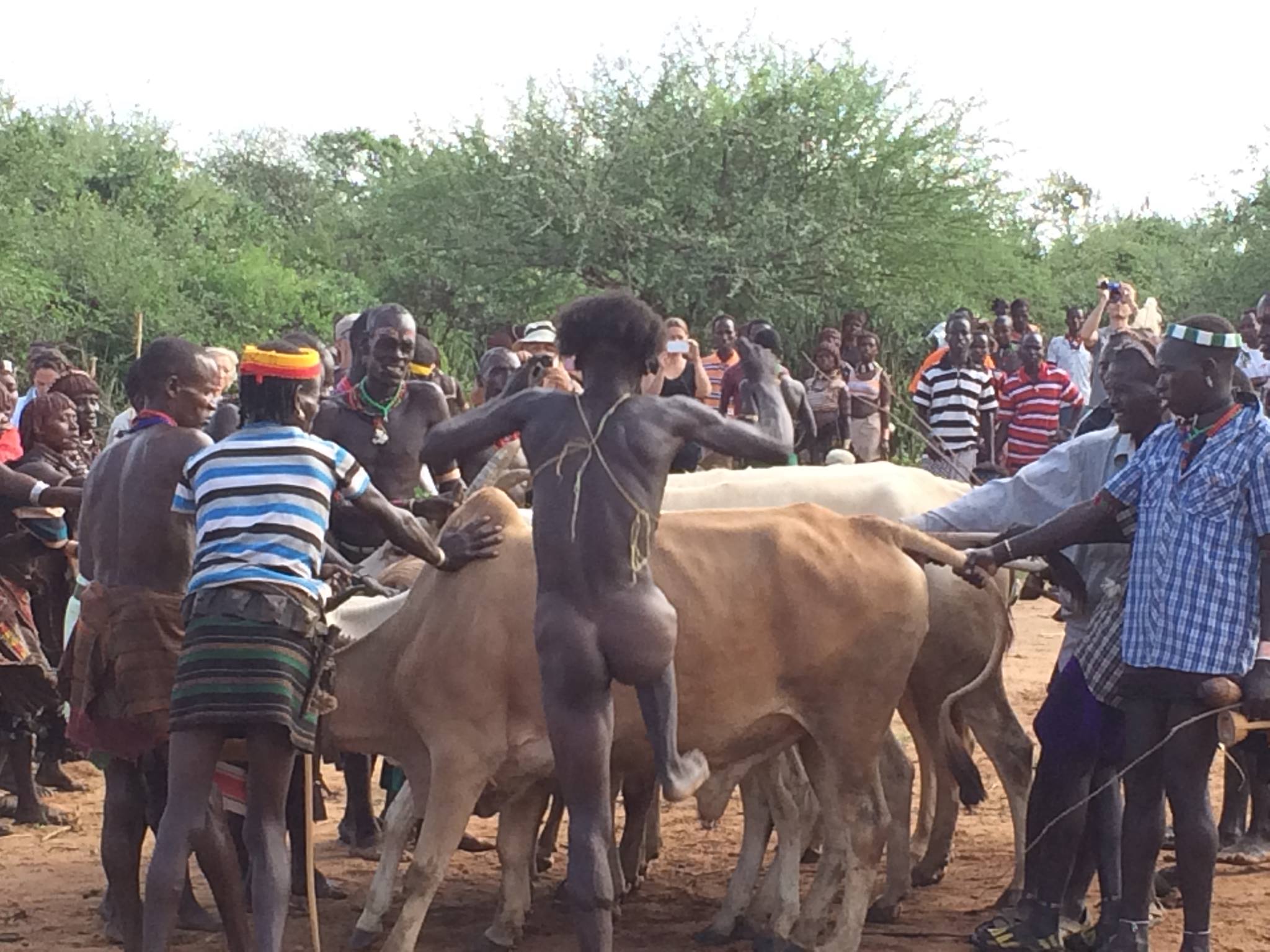 A significant event in the Hamer society is the Bull Jumping Ceremony. The rite marks a passage of men from youth to manhood.