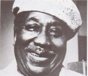 Muddy Waters -- Jazz and its Roots