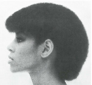  The Atchison Look - The Cobra